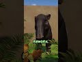 Planet Zoo FIXED THEIR BIGGEST PROBLEM Planet Zoo Update 1 16 Shorts