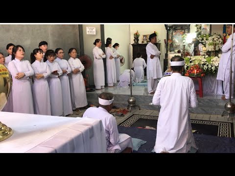 Em quỳ tế anh | hồ minh lý 68 tuổi