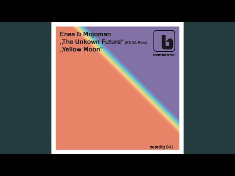 The Unkown Future (Enea Remix)