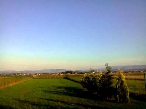 cessna 745-1 - misiek