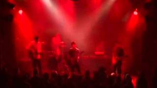 Rooney - Are You Afraid 2010 live