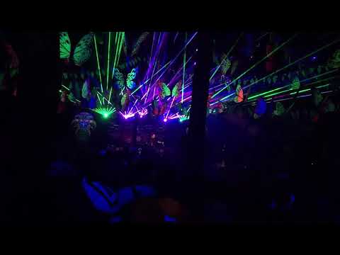 M-Theory Live @Boomtown Festival 2019