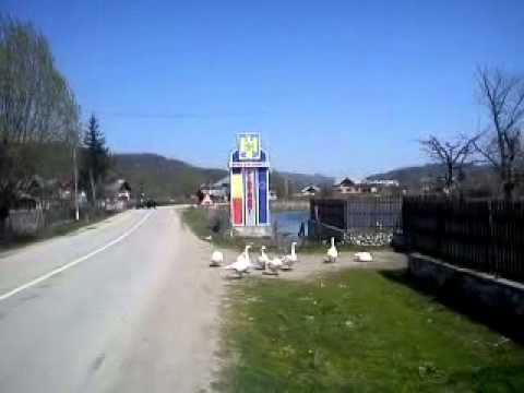 Comuna Pietrari, de Paste , 23 Apr 2011