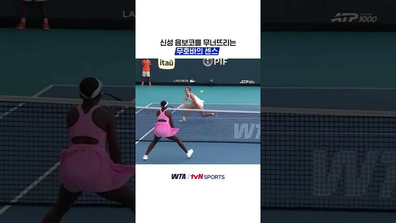 신성 음보코를 무너뜨리는 무호바의 센스 #WTA