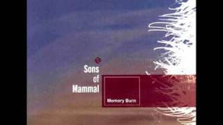 Sons Of Mammal - Lifespan