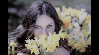 Seven Daffodils - Carol Kidd［가사 번역 ］