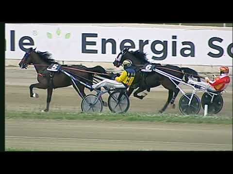 Napoli Trotto 25/11/2022 - 2ª corsa