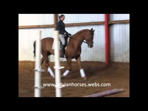 Kalfo dressage march 2011