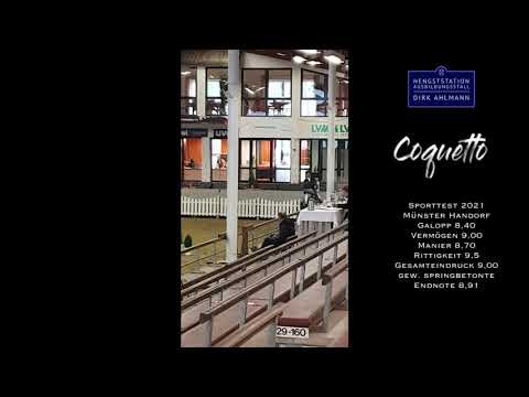 Coquetto Sporttest 2021 Hengststation Dirk Ahlmann
