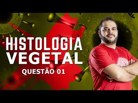 TECIDOS COMPONENTES DA ESTRUTURA DE UMA FOLHA - questão 1 - lista sobre Histologia Vegetal