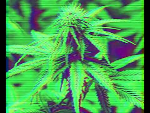 [PERFECT HIGH] 432HZ CHILL SYNTHWAVE MARIJUANA MUSIC WITH SUBLIMINAL CANNABIS AFFIRMATIONS | LOA