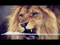 JPGamarz ThechainsmokersDekhe Basa Re Bonda Safal Mare Banda LionRoar