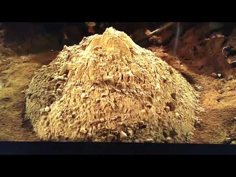 The Mummy Returns - Fellahin Diggers eaten by Scarabs