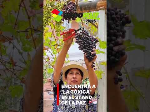 Bodegas y viñedos Kalvario, de Luribay estará en el Expocruz 2025
