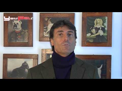 Macchie scure su pelle il membro Il pigmentary nota oli naturali