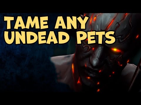 How to Tame Any Undead Pets for Hunters in World of Warcraft