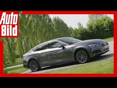 Audi A5 Sportback g-tron - Sporty despite natural gas (2017)/ Details/ Review