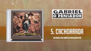 Cachorrada Music Video