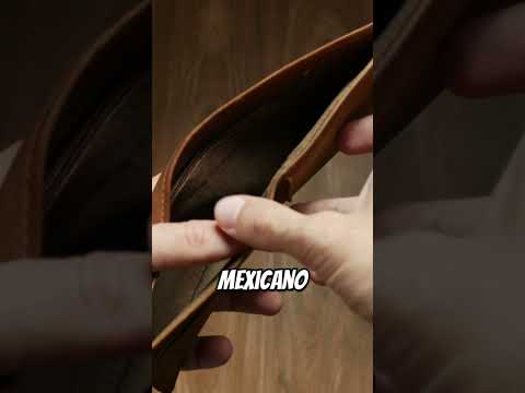 Moctesuma Esparza, cineasta hispano triunfa en Hollywood | hoyDía | Telemundo