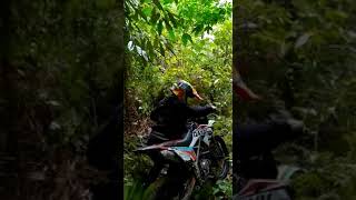 Download lagu STORY WA KEREN || TRABAS HUTAN DAN TANJAKAN || STORY WA KEREN 30 DETIK || STORY WA 30 DETIK mp3 Download lagu STORY WA KEREN || TRABAS HUTAN DAN TANJAKAN || STORY WA KEREN 30 DETIK || STORY WA 30 DETIK mp3