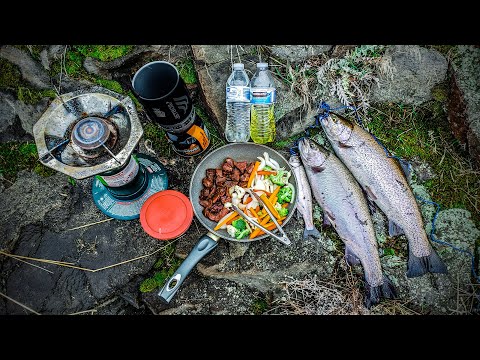Redemption Rainbow Trout (Catch, Clean, Cook!) & Venison Veggie Dish