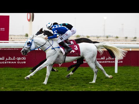 RM15 Al Uqda  RACE-7 -  Al Arish Cup