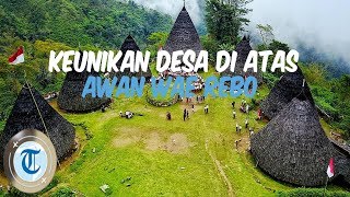 Beberapa Fakta Menarik Wae Rebo, Desa di Atas Awan di NTT