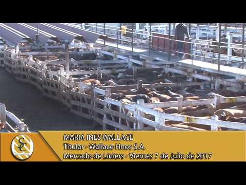 07-07-17 Nota Maria Ines Wallace - Wallace Hnos S.A. - Mercado de Liniers.