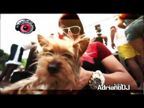 "Verano de Colores" - Adriano Dj Feat Dj Unic con El Magnifico y La Srta Dayana