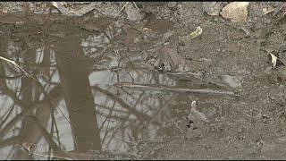 Dirt roads turn to mud after early, partial thaw