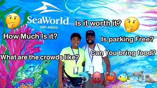 Uncovering Secrets of SeaWorld Orlando: Your Next Adventure Awaits