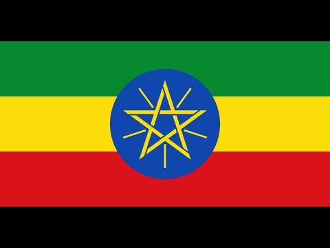 The Adventures of Ronnie and Dr. Sheba in Ethiopia