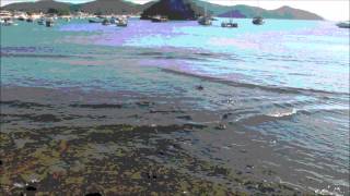 Devendra Banhart - Samba Vexillographica ( Fanmade )