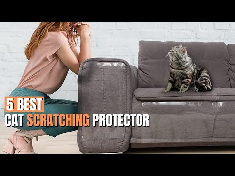 Top 5 Best Cat Scratch Protector | Chair Sofa Couch Protectors From Cats Scratching | Deterrent