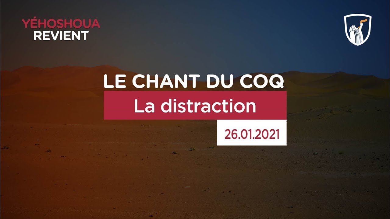 Thumbnail of video: La distraction