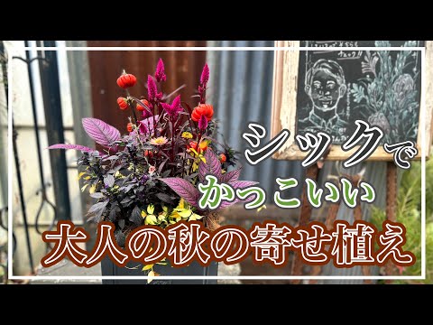 青緑のラッシュ 植物