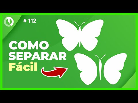 Curso Grátis de Corel Draw Completo do zero ao avançado 2023