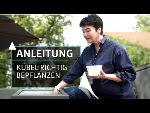 So bepflanzt du deine Kübel richtig