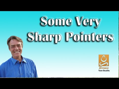 Some Very Sharp Pointers - Non-duality with Terrence
