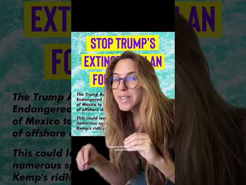 Santa Barbara + gulf environmentalists listen uppp!!! 🦭 🐋🌊🏄‍♀️ thanks Josh Allyn | Basement