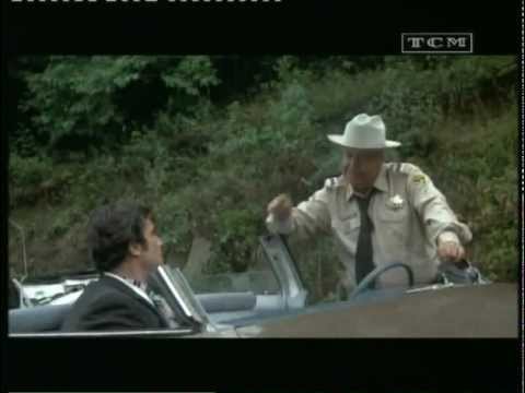 ein ausgekochtes schlitzohr-purzel.avi (Deutsch)