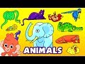 Learn Wild Animals For Kids Wild Zoo Animals Names And Sounds For Children Club Baboo