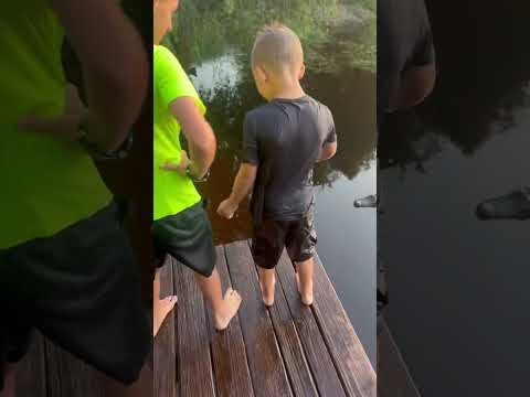 Original video Kid pushes brother into pond with gator “Update in comments” #trending #gatorattack