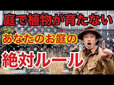 クライミングスタージャスミン：維持方法は？綺麗に開花させるコツ！  庭園