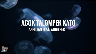 Download lagu Aprilian feat. Anggrek - Acok Talompek Kato  (Lyrics) mp3