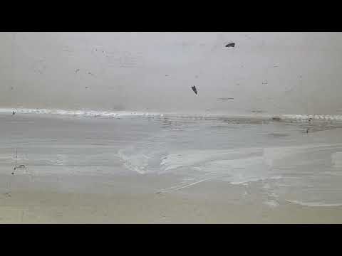 Indian Meal Moths Flying Across Kitchen in...