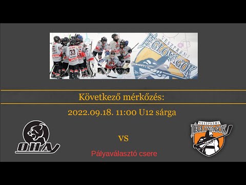 2022-2023 U12 sárga: OHA - Veszprémi Jéglovagok