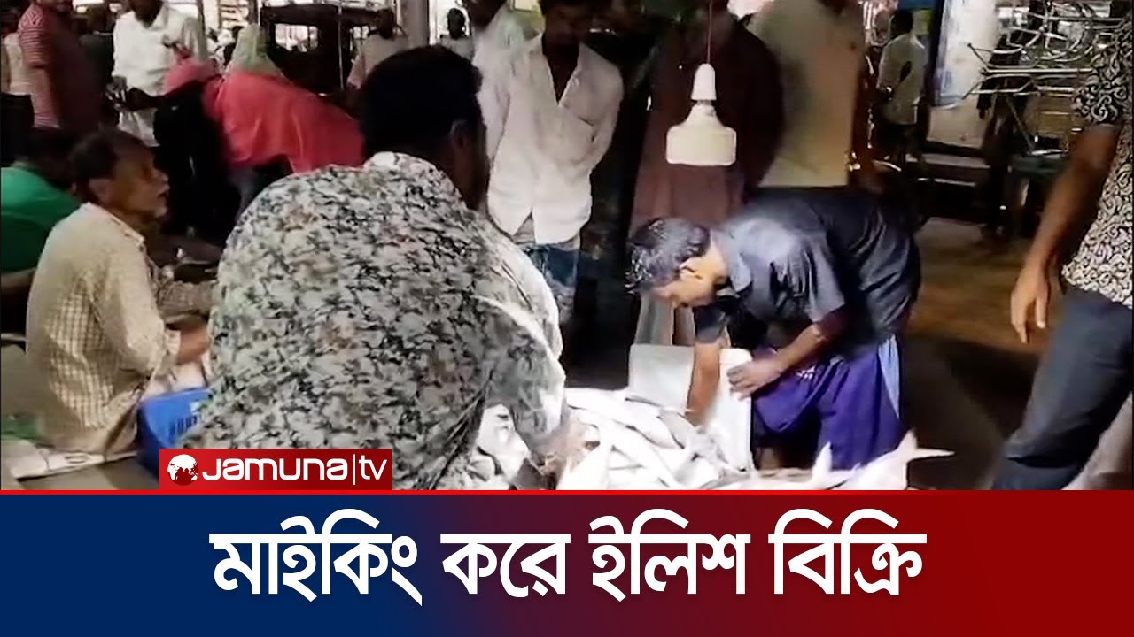 মাইকিং করে ইলিশ মাছ বিক্রি হলো পটুয়াখালীতে | Patuakhali | Hilsha | Jamuna TV