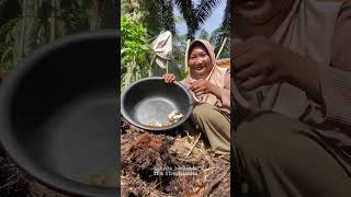 Download lagu Palm mushroom #adayinmylife #minivlog #cooking #gardening mp3