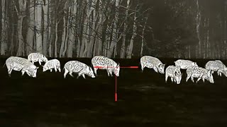 [問卦] 美國人殺畜生像是在打電動？